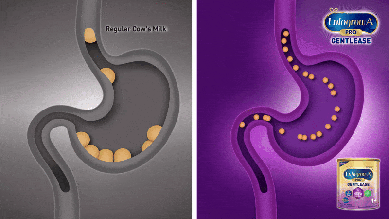 Regular formula vs Enfagrow A+ MindPro Gentlease