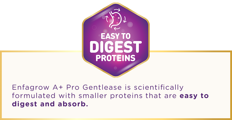 Slideshow mobile image